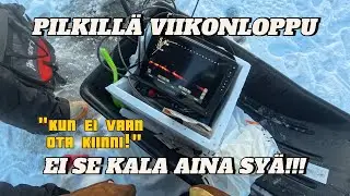 Kalat tosi huonolla purulla! Vknlp pilkill&auml;!