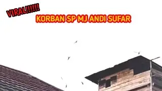 Melihat Bukti Nyata SP MJ Milik Bang Andi Sufar di Pulau Boneo
