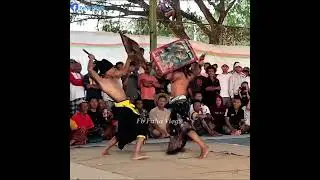 Pertarungan sengit PATIH BERAMBANG ULUNG VS WANAPATI 