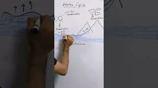 Water Cycle| Science 🔭🧪| in Urdu/Hindi| MathUse #education #study #gk #science #viral #learn