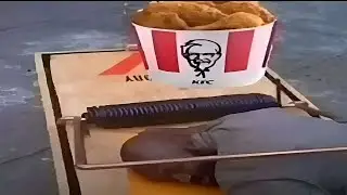 discord memes ylyl #11