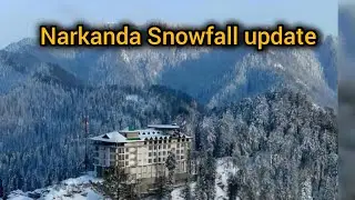 Narkanda Shimla snowfall update| Narkanda today| Himachal Pradesh