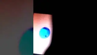 Песня Анниты Дикаран