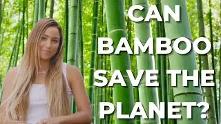 Bamboo Products To Reverse Climate Change | Tia Blanco | Eco Friendlier Episode 4