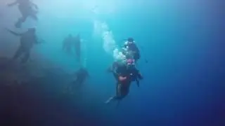 Bohol Cabilao island Diving, Cebu, Philippines - The INTL. Poseidon Dive Inc