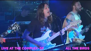Analog Dog - All The Birds (Live at The Complex-SF)
