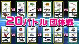 【こんちゅうアニメ】昆虫バトル団体戦まとめ➁！カブトムシvsクワガタ 、ヘラクレスオオカブト、ギラファノコギリクワガタ、アメリカザリガニ、カマキリ【insect beetle stag battle】