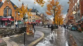 The Most Photorealistic Generative AI Yet - Modern Warfare II Amsterdam Mission Reimagined