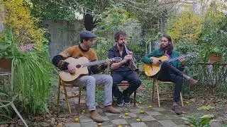 Elegan Axolot - Elegante Ajolote