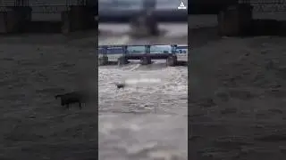 Punjab Floods 2025 By Mukul Sir #Floods in #punjab