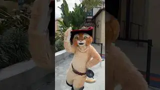 Puss in Boots is my hero! #pussinboots #dreamworks #universalstudios #shorts
