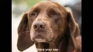 Council Tax Reduction Scheme West Devon