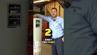 Why Your Water Heater Smells Like Rotten Eggs🤢 #shorts #plumbing