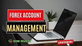 ADEEG | FOREX ACCOUNT MANAGEMENT SERVICE 
