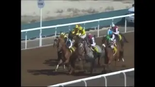 Jebel Ali - 22 January 2016 - Shadwell Farm Hcp - Absolute Sway (GB)