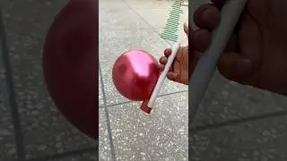 How To Make Bugle From PVC Pipe and Balloon / Ballon horn For Fun #shortvideo #shorts #balloon