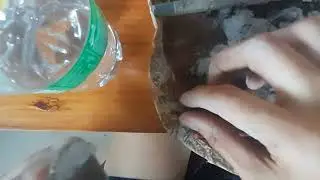 Making clay mushroom miniature 