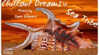 SEA TRIBE - Relaxing Chillout mixed by Dave Shepard 2013