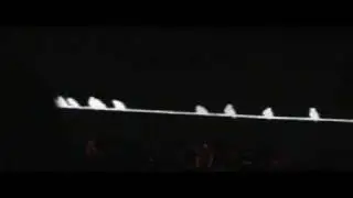 Sigur Ros 