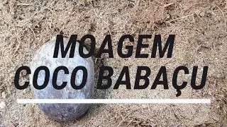 Quebrando e Refinando Coco Babaçu- Moinho Híbrido 30cv