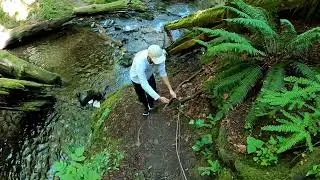 Dickerson Creek Waterfall