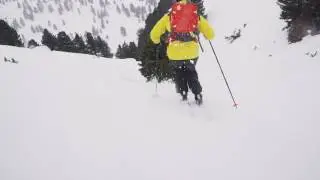 Ski Test Reviews 2016/17: Scott Sage