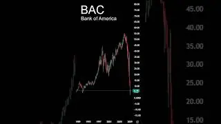 BAC Timelapse Bank of America Price History