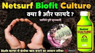 Netsurf Biofit Culture क्या है ? Netsurf Biofit Culture से Compost खाद बनाएं घर पर! 😱 100% Natural