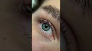 Ламинирование на короткие ресницы 🔥🔥🔥 #lashes #lashlamination #lashlifting #ламинированиересниц