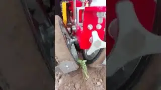 Praca sadzarki karuzelowej Solan