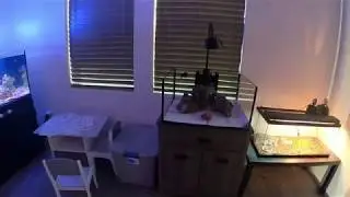 Innovative Marine 25 gallon Lagoon style. 20 Long upgrade..