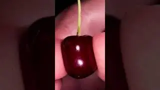 #object #short#instagram #new   |cutting objects, #micro cutting, #zoomcutting |#sound #cutting