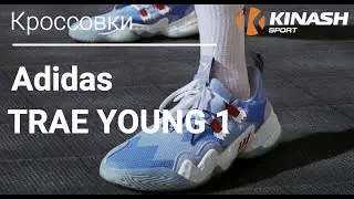 Кроссовки Adidas TRAE YOUNG 1. Обзор за 30 секунд