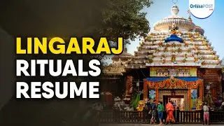Lingaraj temple rituals resume after servitor dispute | Dhadi darshan restored in Bhubaneswar