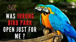 Jurong Bird Park | Singapore | 4K