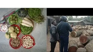 নতুন বাসাতে কিছু ফার্নিচার বানাতে গাছ কিনতে এলাম বগুড়া মহস্থানগড় সোয়া মিলে।