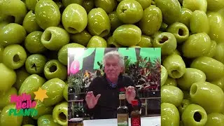 Olive 🫒 LIVE with Chris