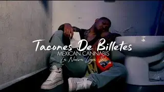 Yua - Tacones de billetes (video oficial) by Mexican C.