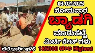 Byadgi Market chilli rate | Byadgi Market Mirchi Rate |Chilli Price / #byadgi #5531rate #2043rate