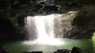 The Natural Bridge Springbrook