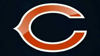 Bears Season Review