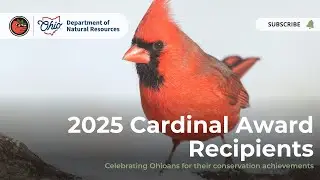 2025 ODNR Cardinal Award Recipients