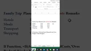 Using if function in expense management  #everydayexcel #excel #computer
