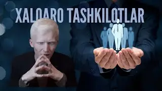 Xalqaro Tashkilotlar
