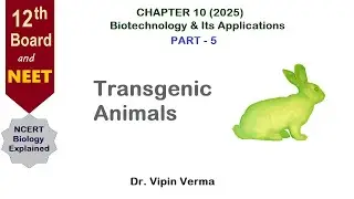 Biotechnology & Its Applications- Part-5 I Transgenic Animals | Class 12 Biology NCERT Chapter 10 |