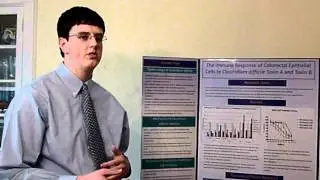 The Immune Response of Colorectal Epithelial Cells to Clostridium difficile Toxin A and Toxin B