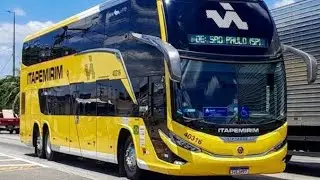 Planejando a sua viagem de f&eacute;rias com o seu pet? Confira as regras para viajar com o seu animal