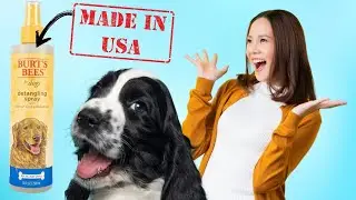 Best Dog Detangler That&rsquo;s All Natural & Made in the USA 🇺🇸
