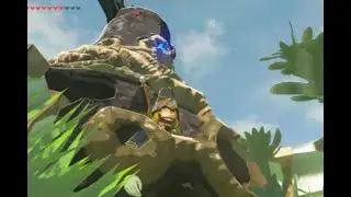Revali saying 