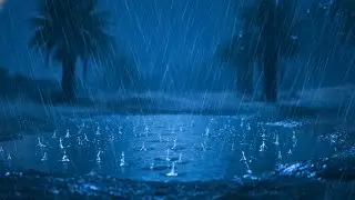 Night Rain Falling on a Desert Oasis | Calm ASMR Sleep Sounds